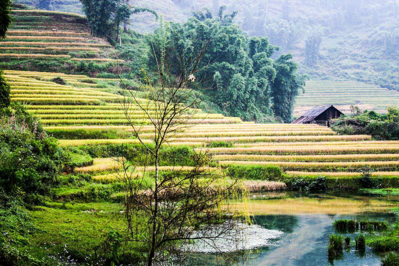 Planning Your Journey: Travel Tips from the Philippines to Vietnam